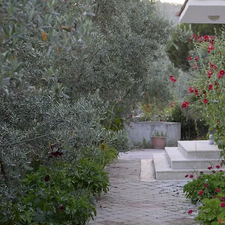Petit Garden * Ölüdeniz