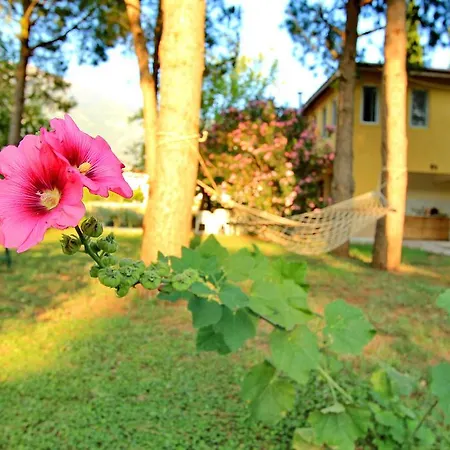 Petit Garden Ölüdeniz