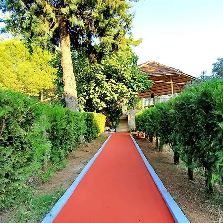 Petit Garden